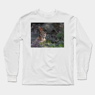 What may come of the day - Rabbit Long Sleeve T-Shirt